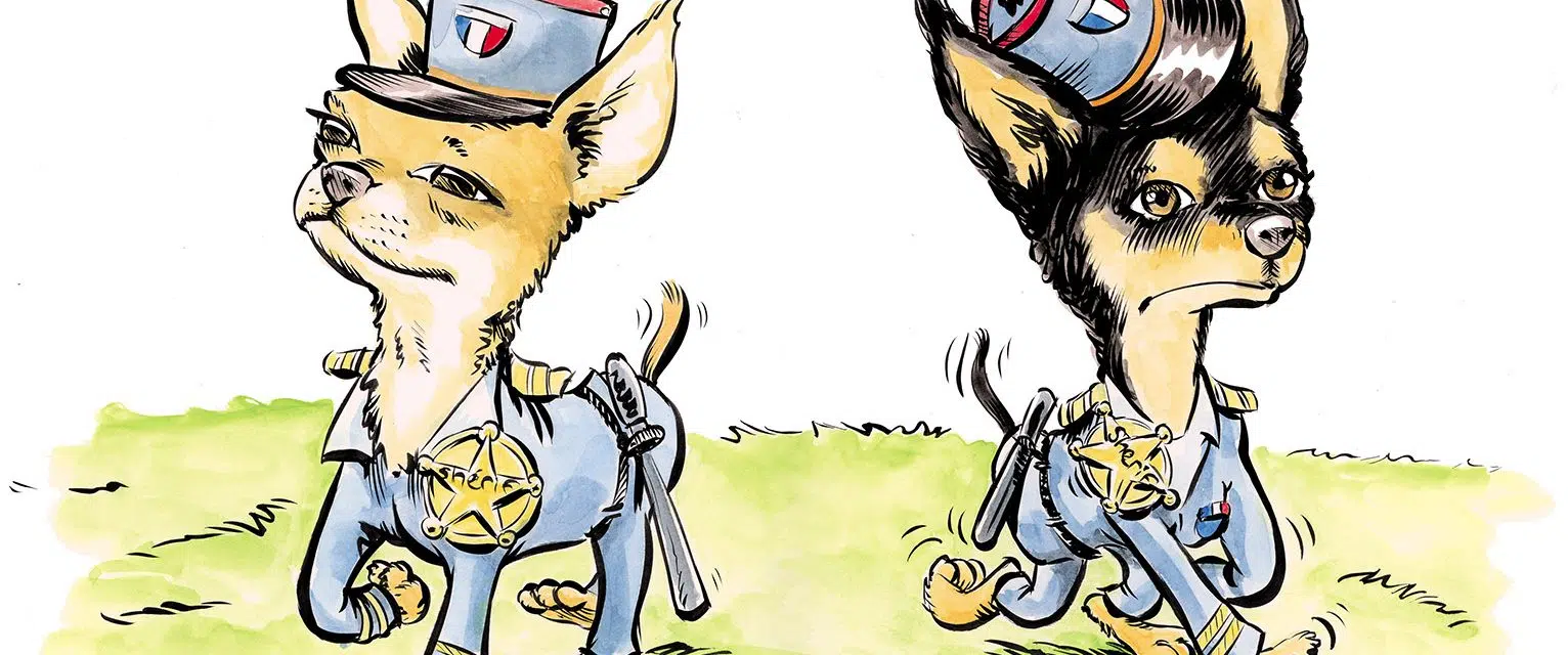 Caricature of dogs for a pet beauty pageant