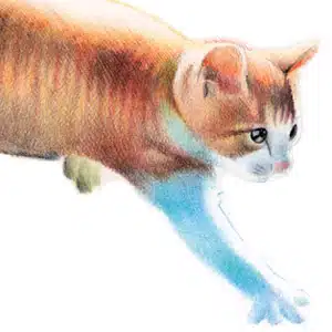 Animaux