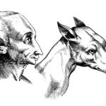 De Humana Physiognomonia Libri Iiii . Homme et chien 3. Giambattista della Porta.