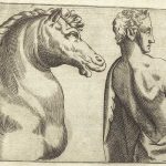 Titre : Homme barbu avec le bras droit levé. Artiste : Giuseppe Porta (Giuseppe Salviati). Année : 1562-1564. Dessin détaillé, étude préparatoire pour une fresque au Vatican, mettant en évidence la maîtrise de Porta dans la représentation expressive des figures humaines.