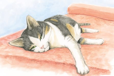 Portrait de chat à l'aquarelle terminé, dessiné à la main par Sébastien Rieu
